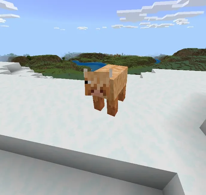 Вариант шерстистой коровы