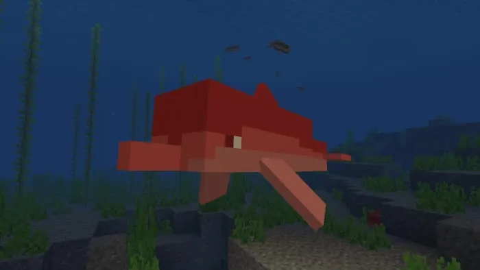 Животное: Спокойный дельфин