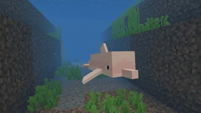 Животное: Розовый речной дельфин