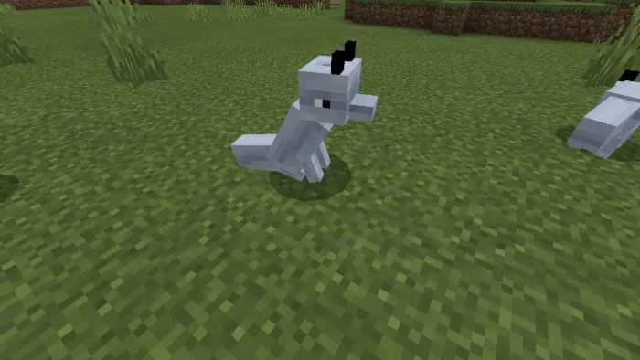 Животное: Наземный дельфин