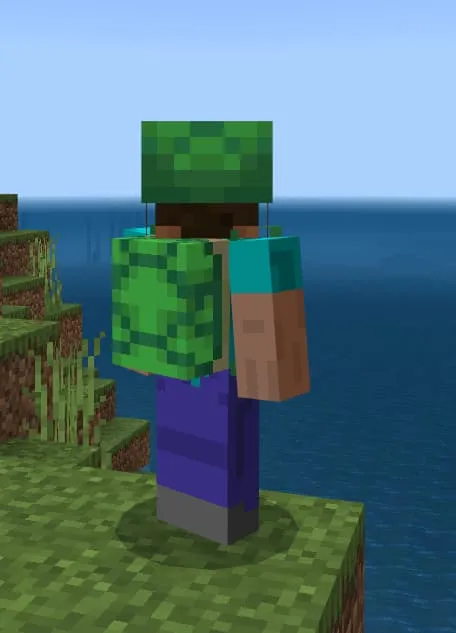 Рюкзак-черепаха