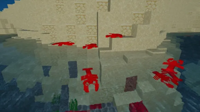 Лобстеры возле берега