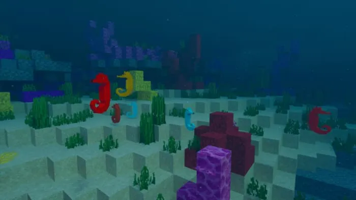 Морские коньки в воде