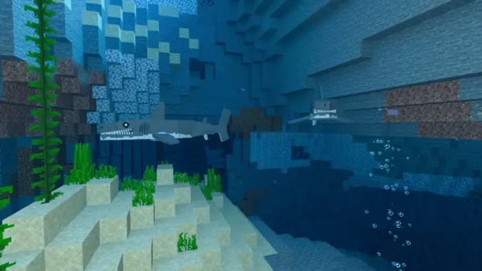 Вид белой акулы