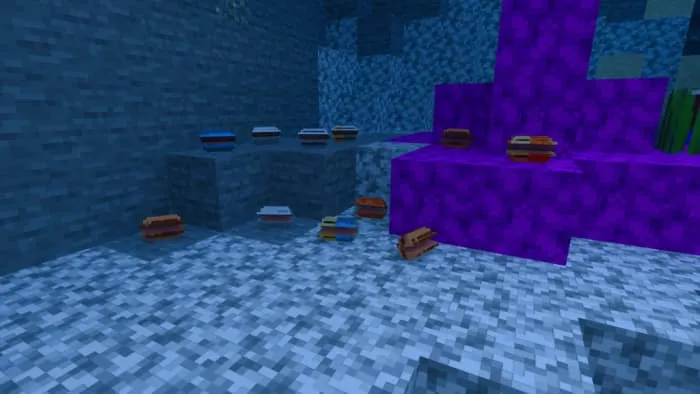 Ракушки в океане