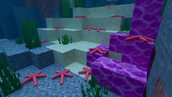 Красные морские звезды