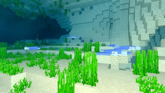 Скаты возле водорослей