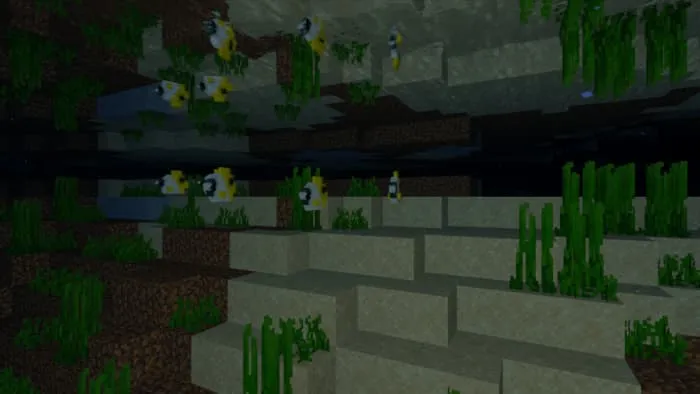 Вид рыбы-бабочки