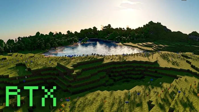 Новый вид поляны