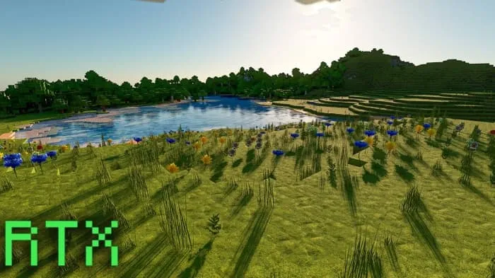 Новый вид травы