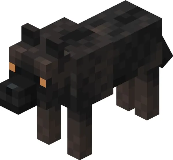 Черный волк