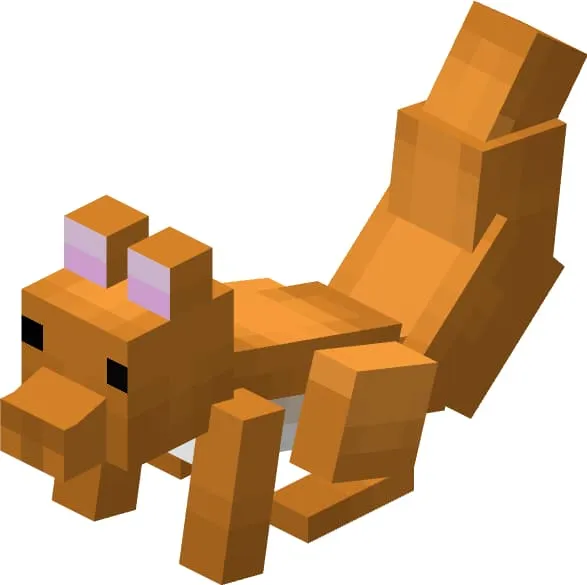 Животное: Белка