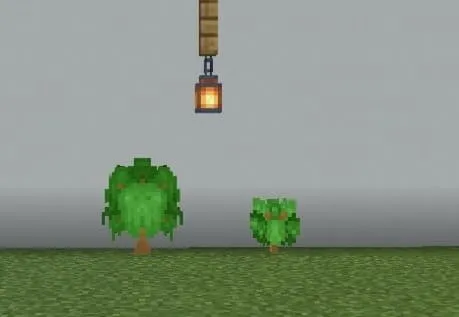 Большой и малый дубовый куст