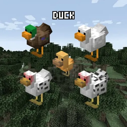 Животное: Утка