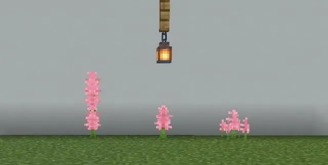 Варианты львиного зева