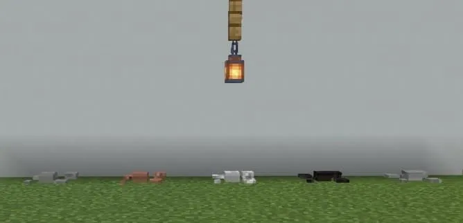 Варианты гальки