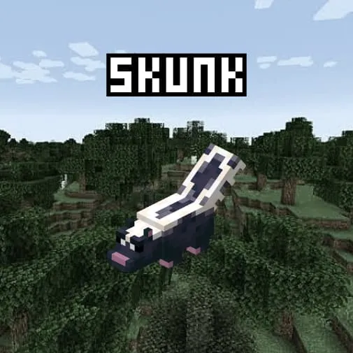 Животное: Скунс