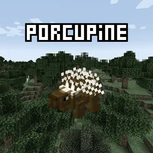 Животное: Дикобраз