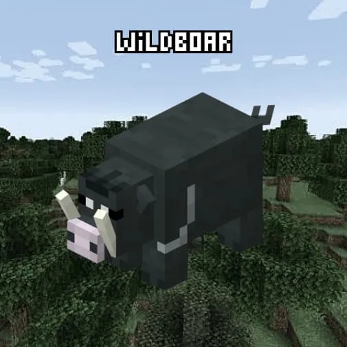 Животное: Дикий кабан