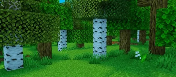 Новый вид дня