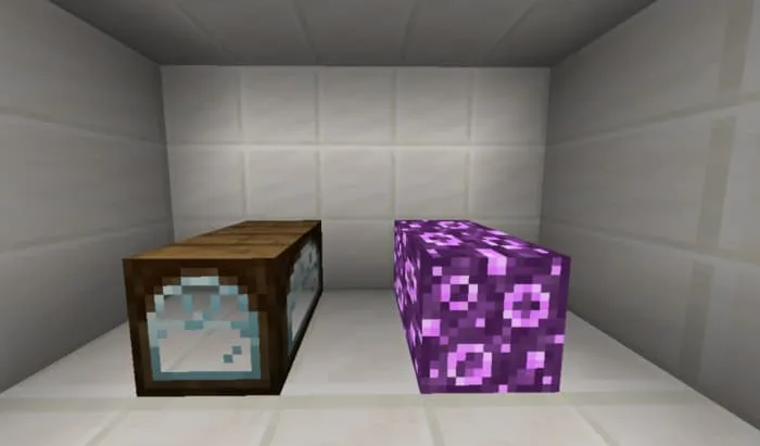 Блок споровых грибов