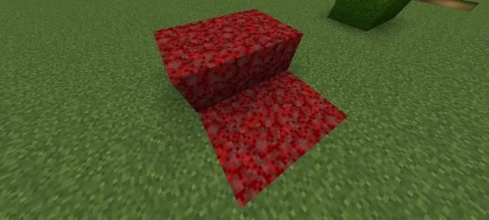 Новый вид незерака