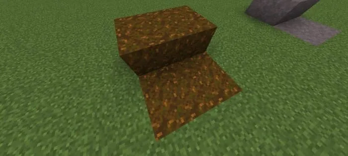 Новы вид подзола