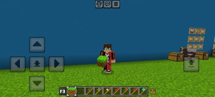 Игрок с посохом земли