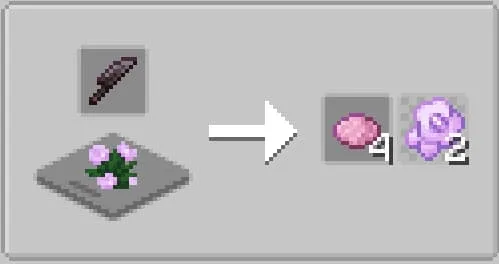 Рецепт розового красителя и пиона