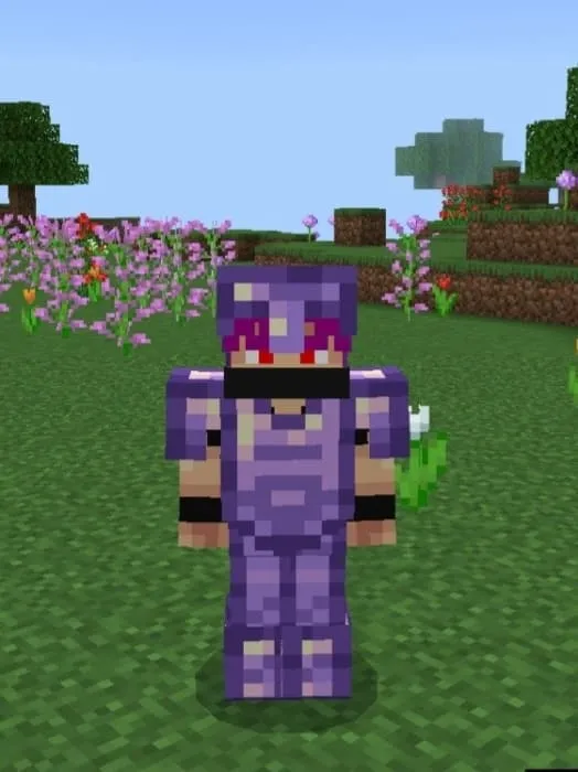 Полный сет брони из Аметиста