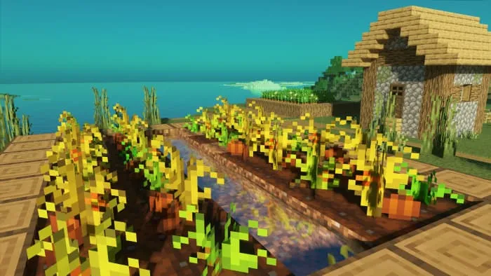 Новый вид тыквы