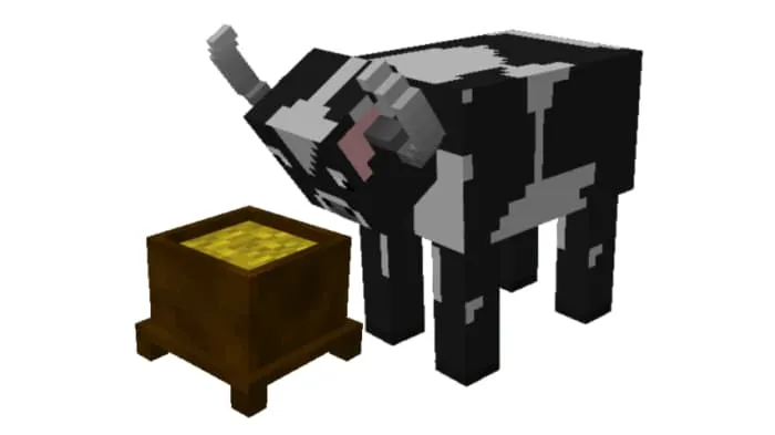 Корова ест сено