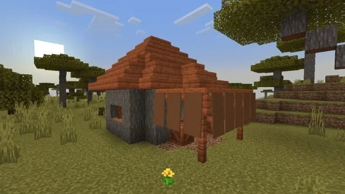 Дом торговца ящиками в саванне