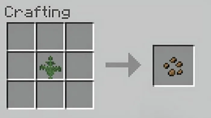 Крафт семян хлопка из папоротника