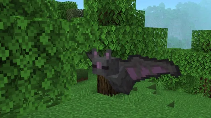 Летучая мышь