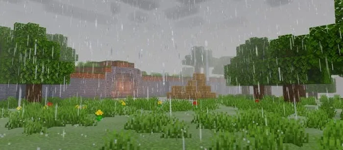 Новый вид дождя