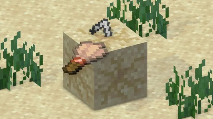 Кость нюхача из подозрительного песка