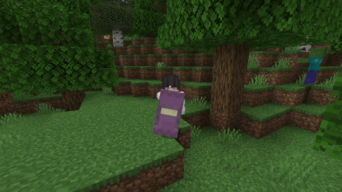 Игрок с шалкеровым щитом