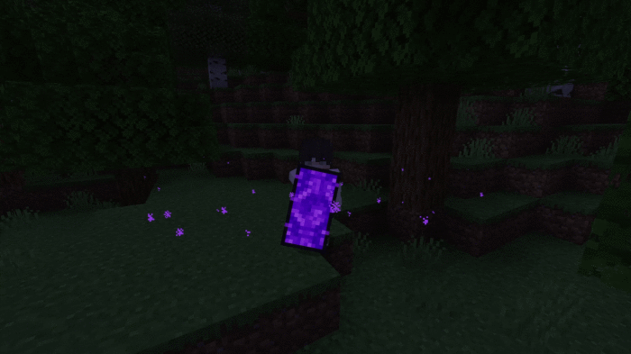 Игрок с незерским щитом