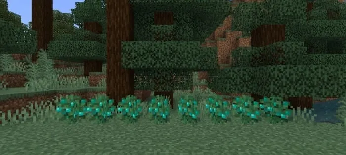 Голубые ягоды