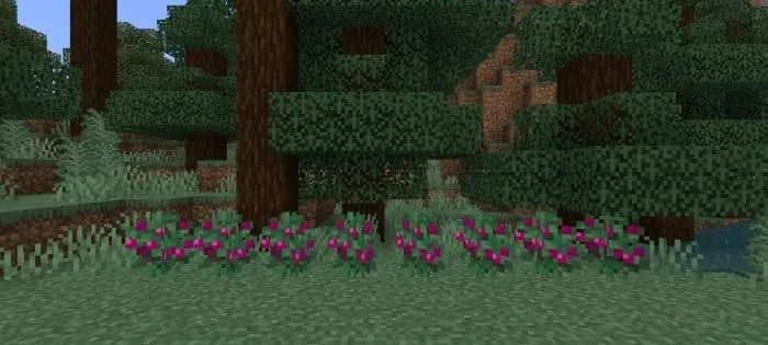 Розовые ягоды