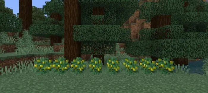 Желтые ягоды