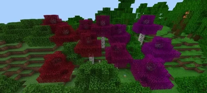 Радужные березы