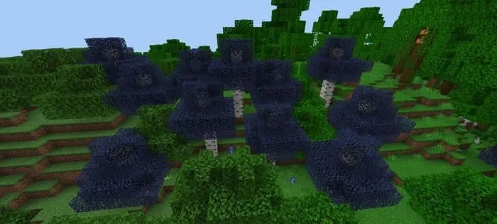 Синие березы