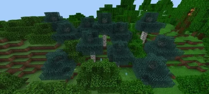 Голубые березы