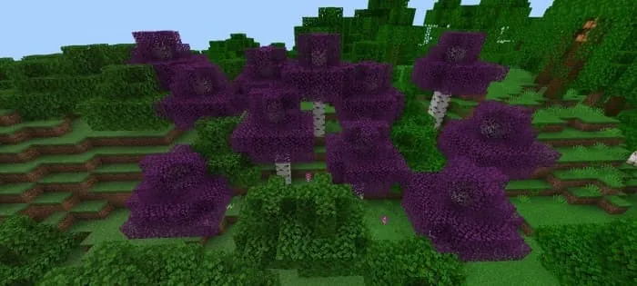 Розовые березы