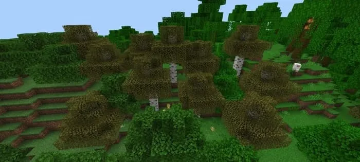 Желтые березы