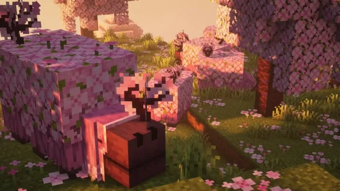 Вишневый сниффер