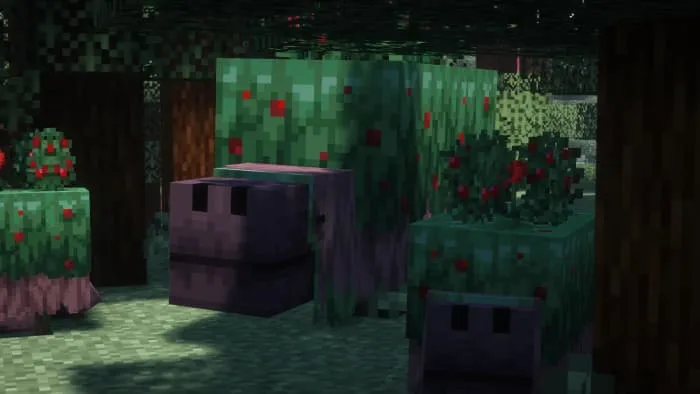 Сниффер со сладкими ягодами