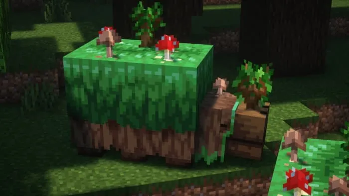 Грибной сниффер